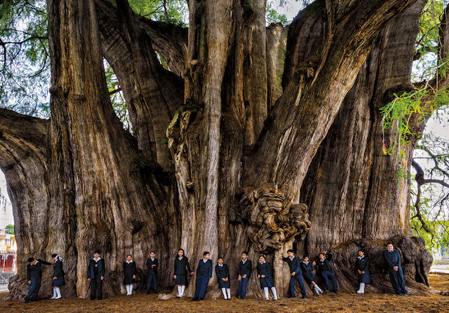 árbol aventura amazonia2.jpg